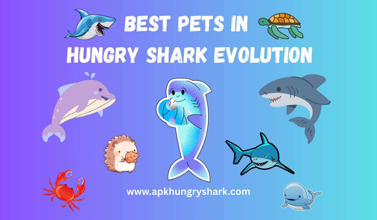 Blog - Best Pets in Hungry Shark Evolution